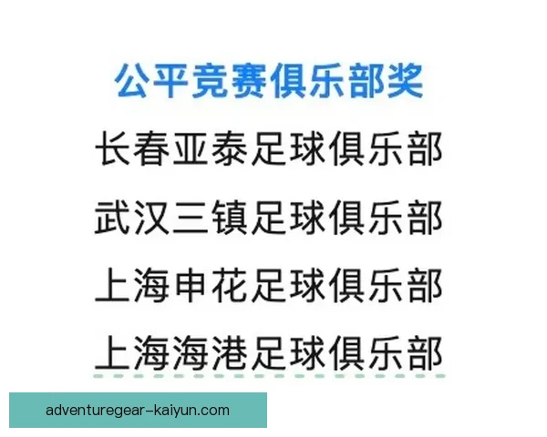 欧洲杯公平竞赛奖评选标准与近年获奖球队表现分析